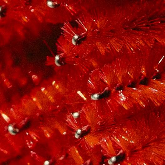 Monthly Lash Fill In 